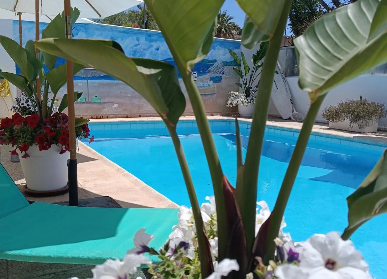 Gasthaus Orsi Ses Cadenes 0*,  Spain