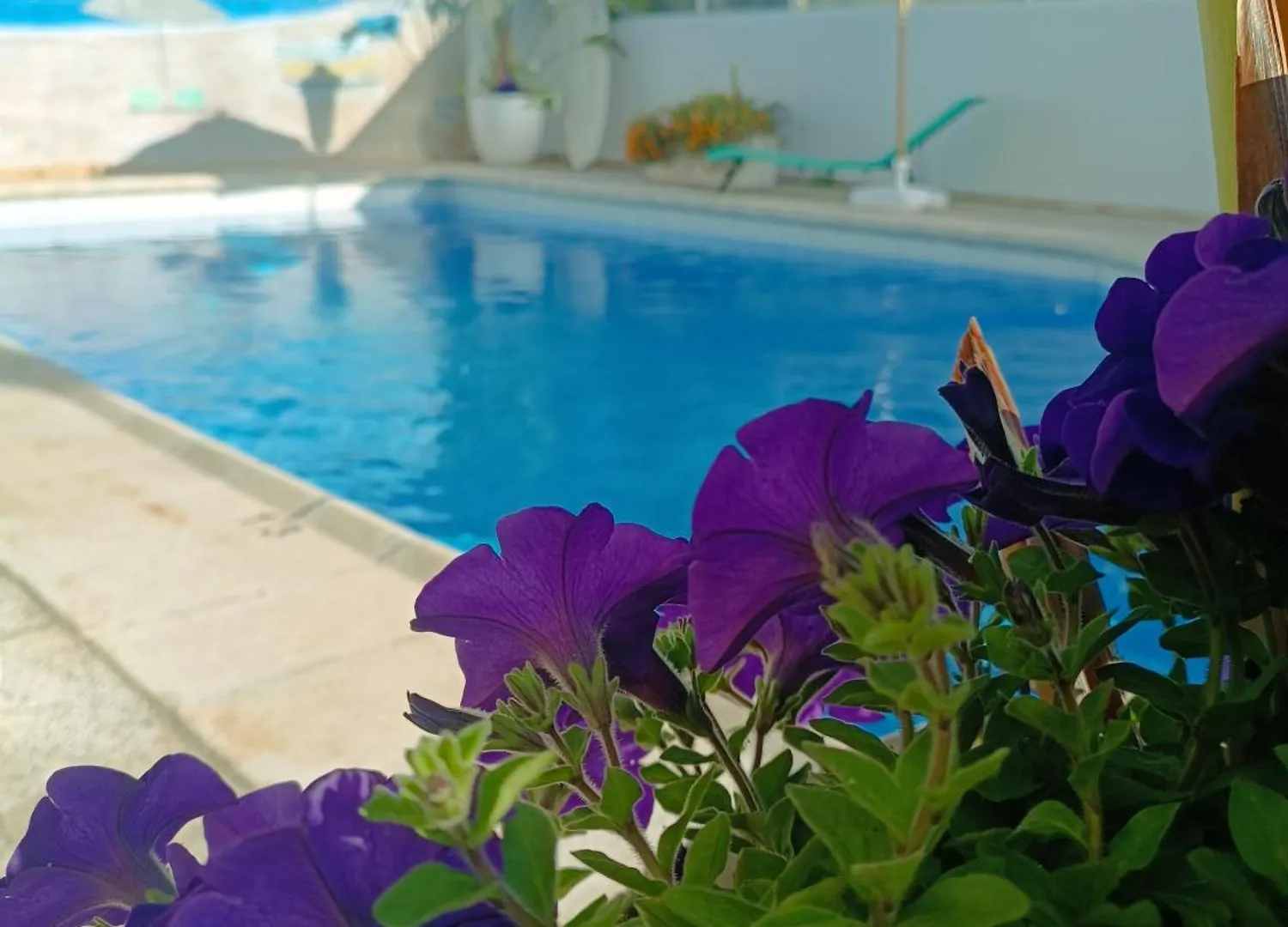 Liefdeshotel Gasthaus Orsi Ses Cadenes Spanje